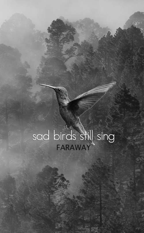 Book cover of Sad Birds Still Sing