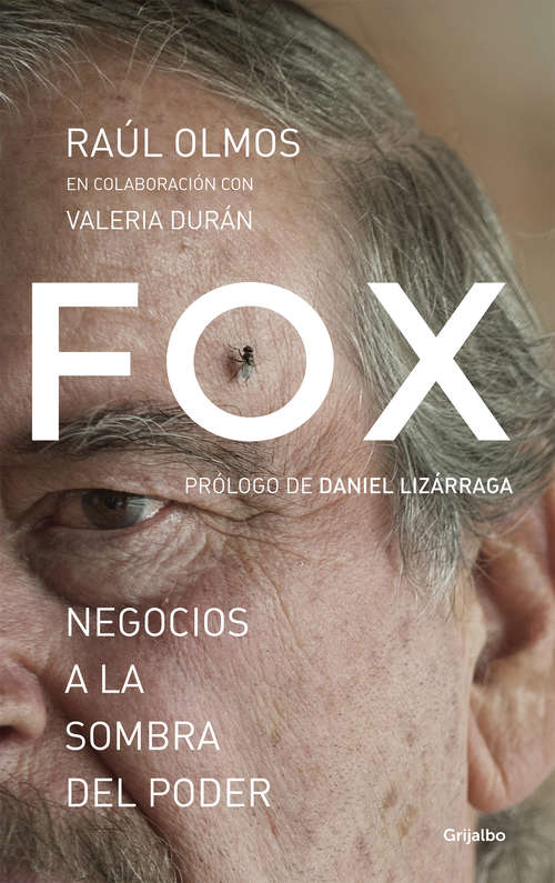Book cover of Fox: negocios a la sombra del poder