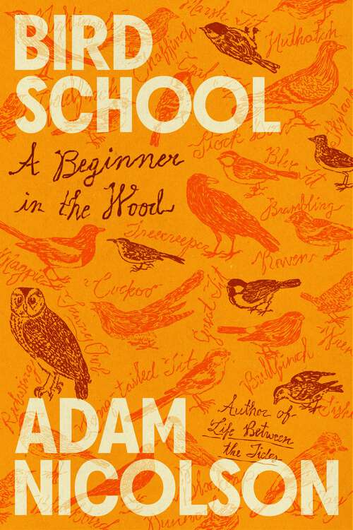 Book cover of Bird School: A Beginner in the Wood