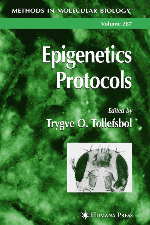 Book cover of Epigenetics Protocols
