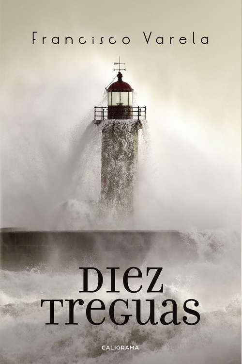 Book cover of Diez treguas