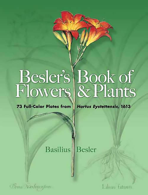 Book cover of Besler's Book of Flowers and Plants: 73 Full-Color Plates from Hortus Eystettensis, 1613 (Dover Pictorial Archive)
