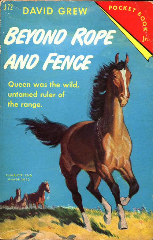 Book cover of Beyond Rope and Fence (Famous Horse Stories)