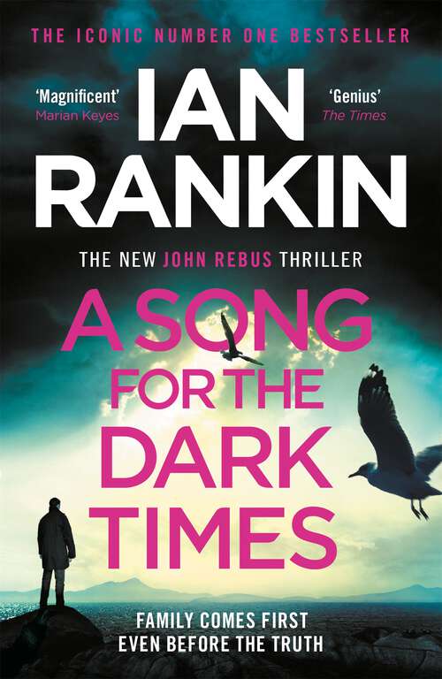 Book cover of A Song for the Dark Times: The number one bestselling series that inspired BBC One’s REBUS