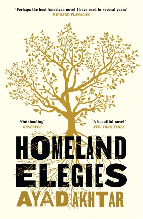 Book cover of Homeland Elegies