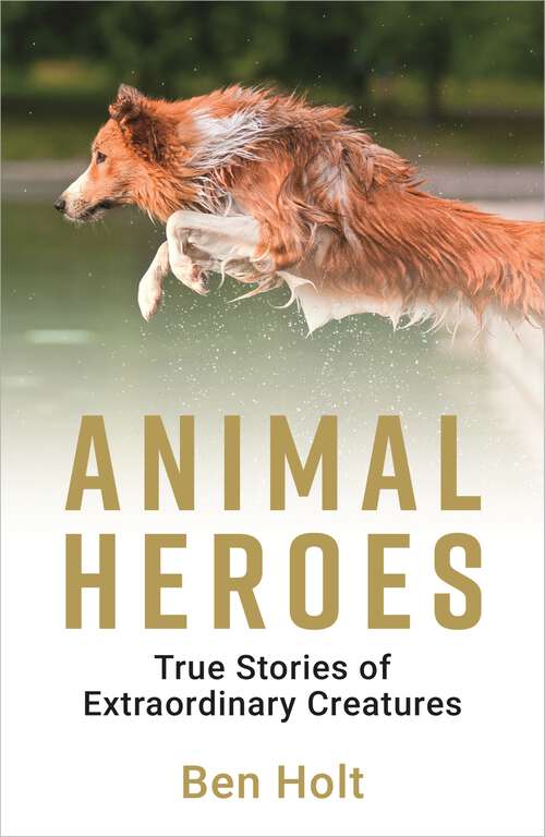 Book cover of Animal Heroes: True Stories of Extraordinary Creatures