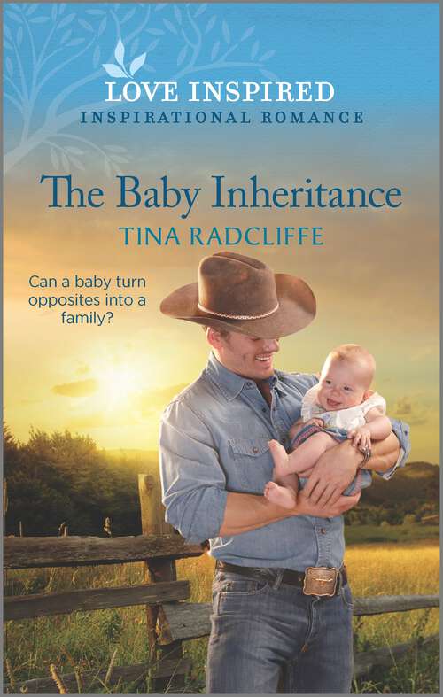 Book cover of The Baby Inheritance: An Uplifting Inspirational Romance (Original) (Lazy M Ranch #1)