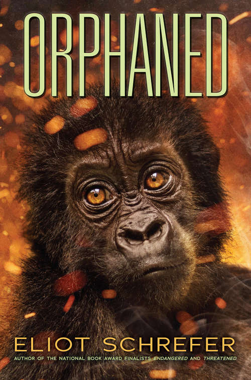 Book cover of Orphaned (Ape Quartet #4)
