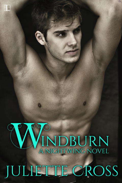 Book cover of Windburn
