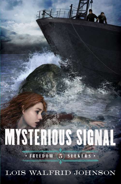 Book cover of Mysterious Signal (Freedom Seekers #5)