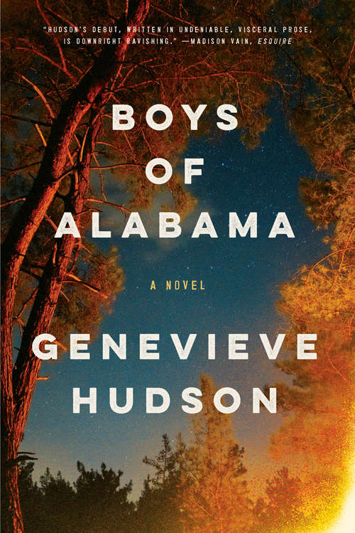 Book cover of Boys of Alabama: A Novel