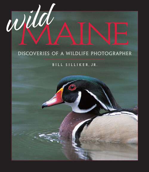 Book cover of Wild Maine: Discoveries of a Wildlife Photographer