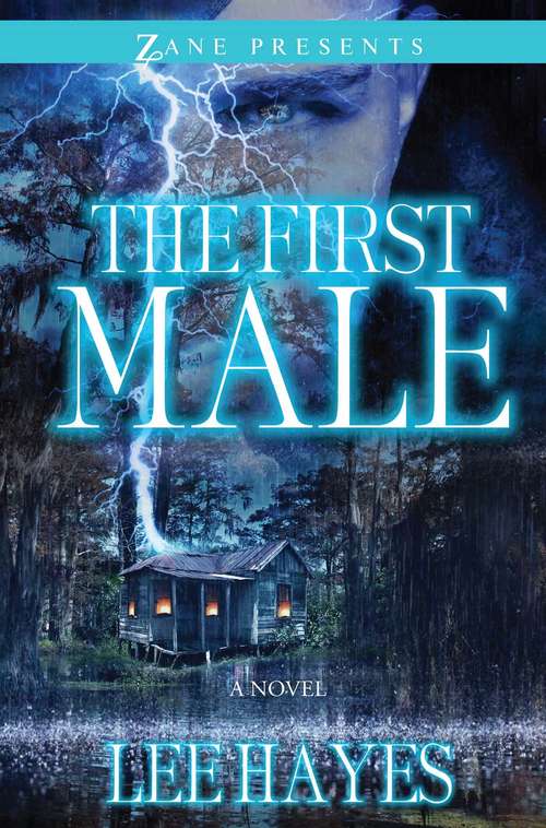 Book cover of The First Male