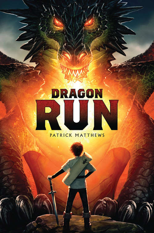 Book cover of Dragon Run