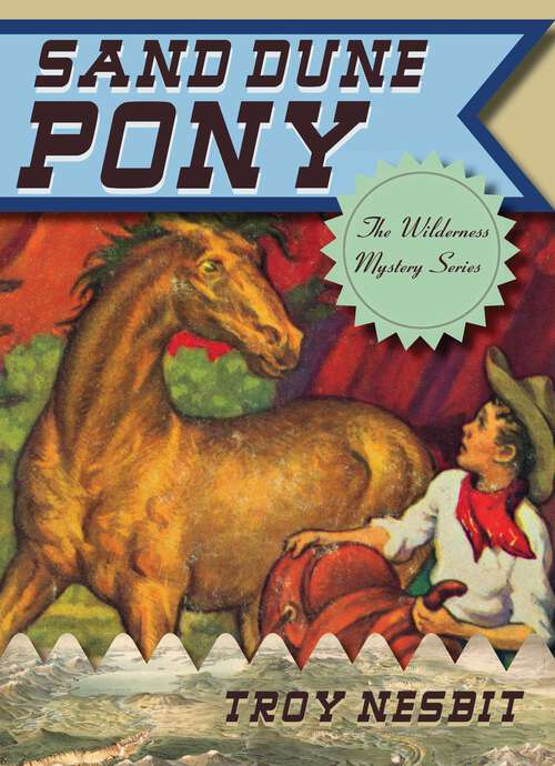 Book cover of Sand Dune Pony (The Wilderness Mystery Series)