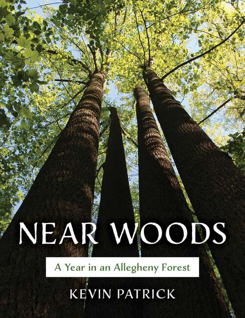 Book cover of Near Woods: A Year in an Allegheny Forest