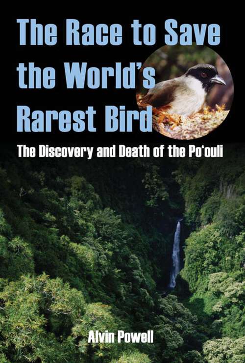 Book cover of Race to Save the World's Rarest Bird