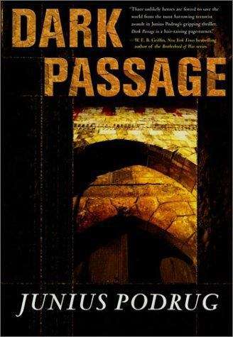 Book cover of Dark Passage