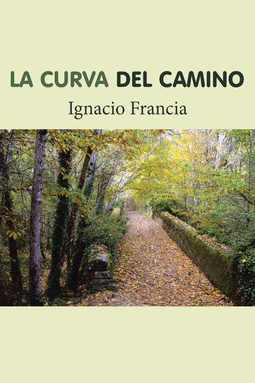 Book cover of La curva del camino