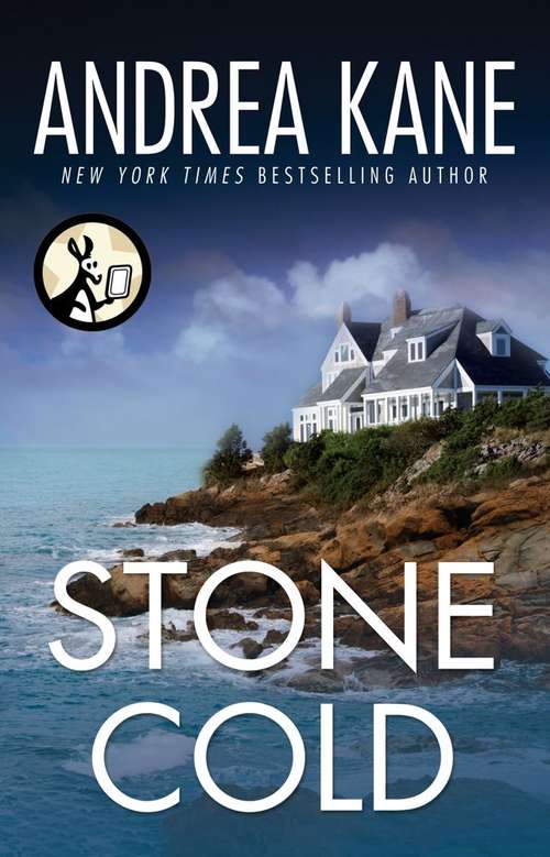 Book cover of Stone Cold