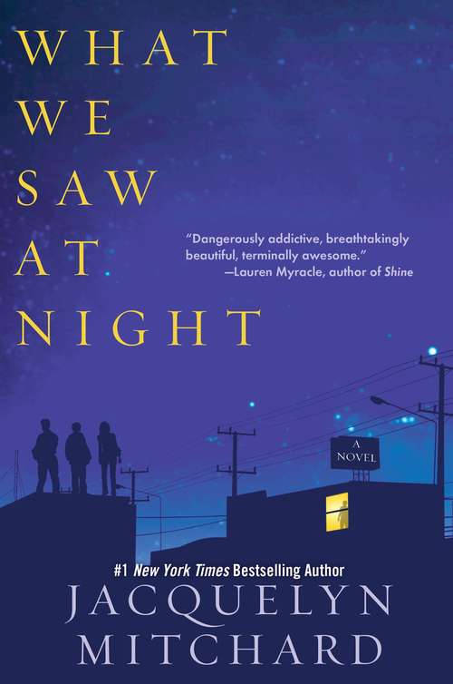 Book cover of What We Saw At Night