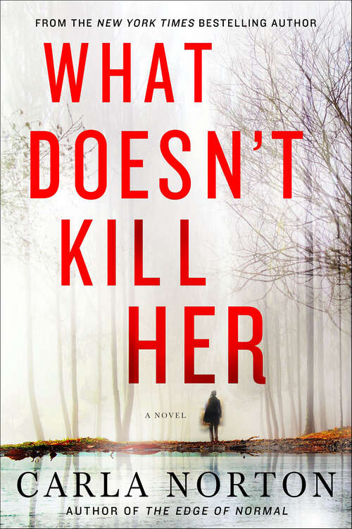 Book cover of What Doesn't Kill Her: A Novel (Reeve LeClaire Series #2)