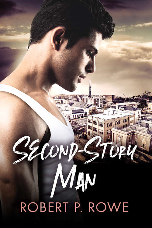 Book cover of Second-Story Man