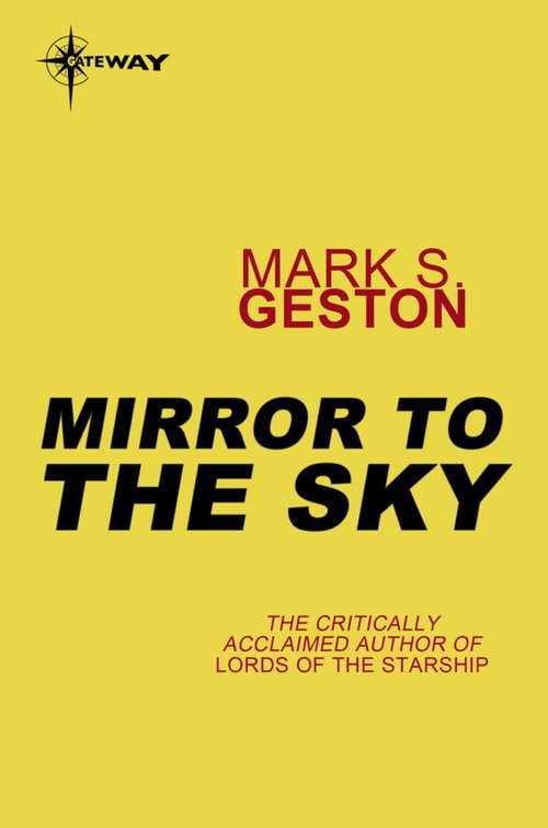 Book cover of Mirror to the Sky