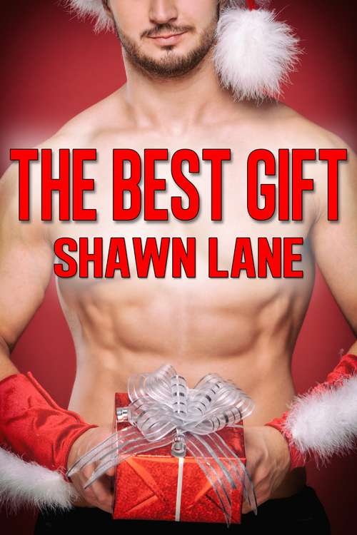 Book cover of The Best Gift