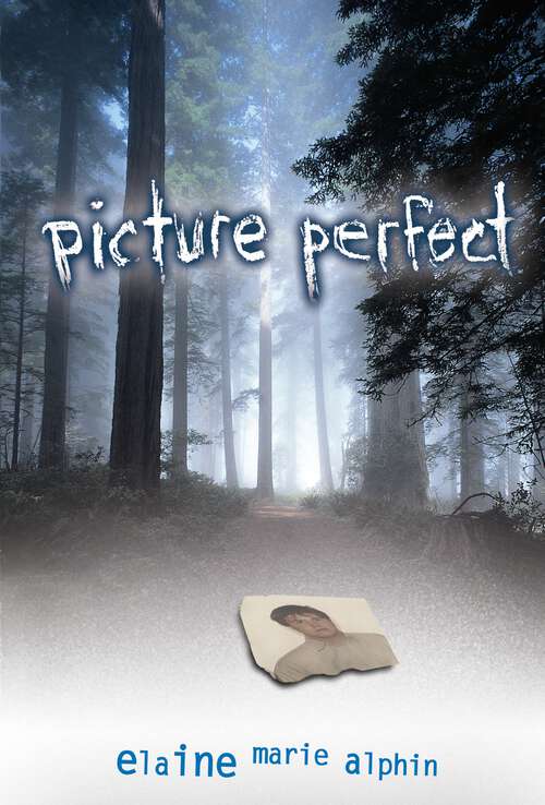 Book cover of Picture Perfect (Exceptional Reading And Language Arts Titles For Intermediate Grades Ser.)