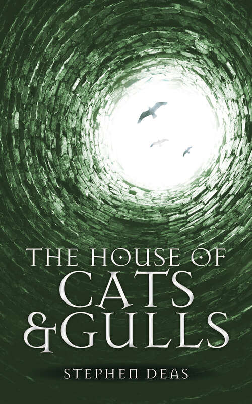Book cover of The House of Cats and Gulls