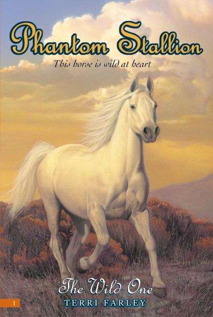 Book cover of Phantom Stallion #1: The Wild One