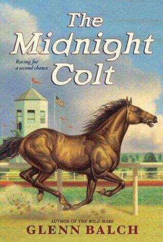 Book cover of The Midnight Colt (Tack Ranch #5)