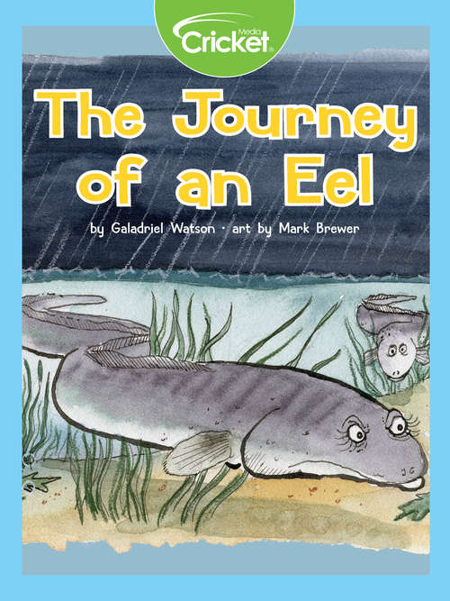 Book cover of The Journey of an Eel