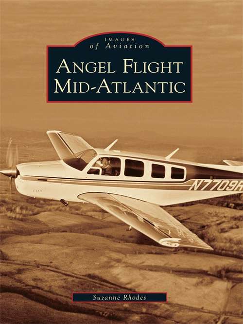 Book cover of Angel Flight Mid-Atlantic