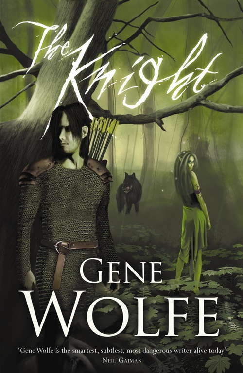 Book cover of The Knight (Wizard Knight Ser. #1)