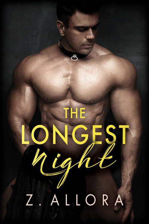 Cover image of The Longest Night