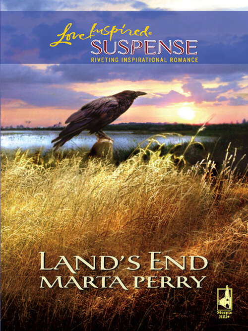 Book cover of Land's End