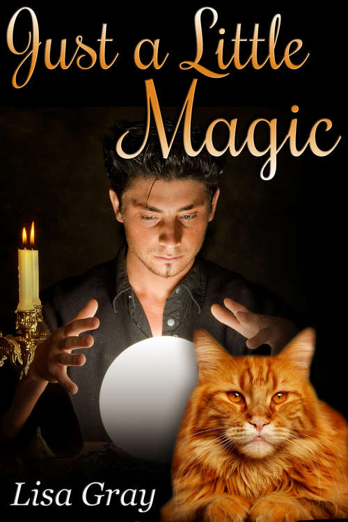 Book cover of Just a Little Magic