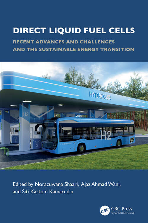 Book cover of Direct Liquid Fuel Cells: Recent Advances and Challenges and the Sustainable Energy Transition (1)