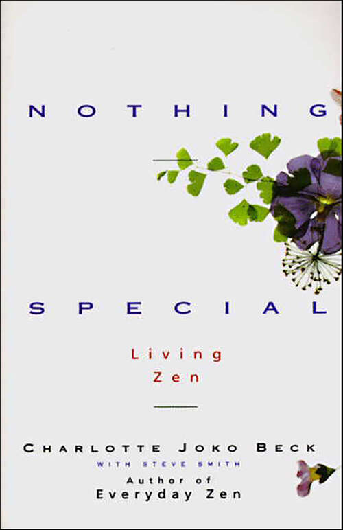Book cover of Nothing Special: Living Zen