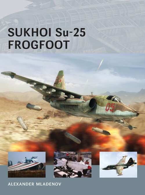 Book cover of Sukhoi Su-25 Frogfoot