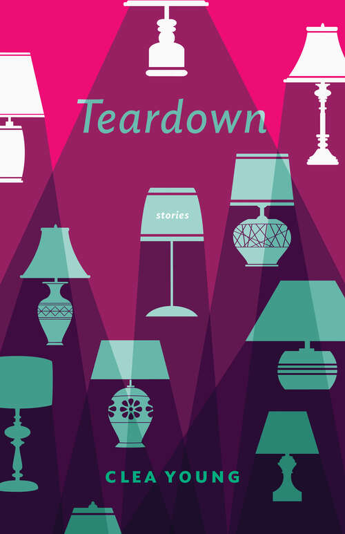 Book cover of Teardown