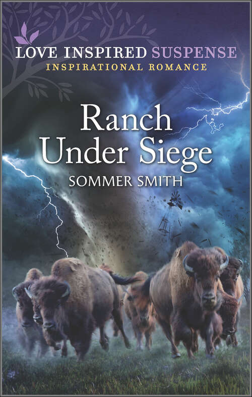 Book cover of Ranch Under Siege (Original)
