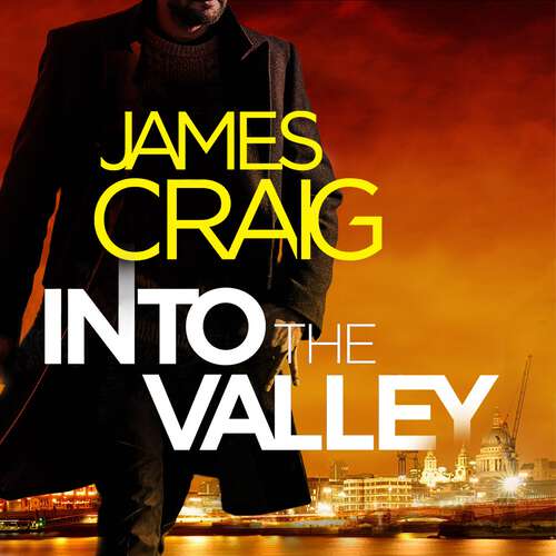 Book cover of Into the Valley (Inspector Carlyle #14)