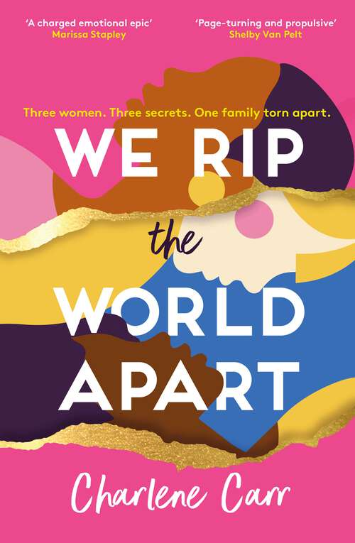 Book cover of We Rip the World Apart: A sweeping story about motherhood, race and secrets