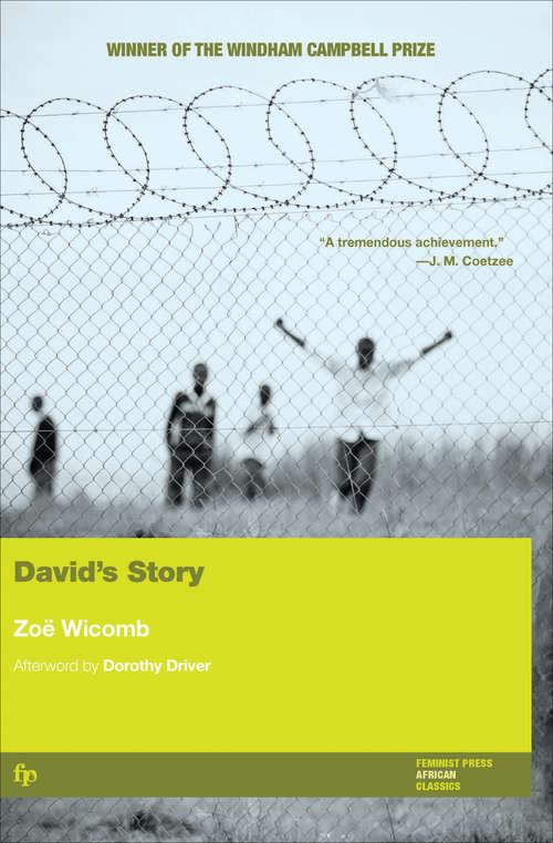 Book cover of David's Story