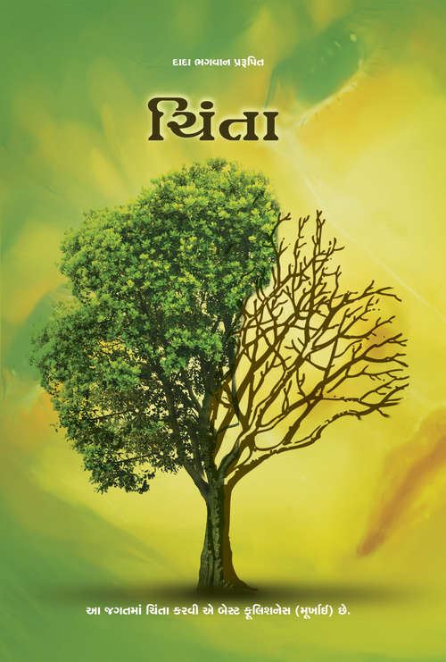 Book cover of Chinta: ચિંતા