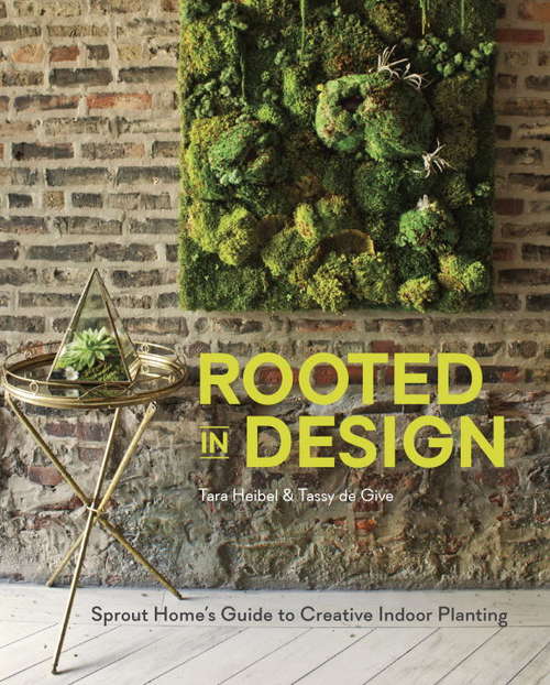 Book cover of Rooted in Design