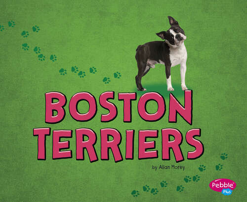 Book cover of Boston Terriers (Tiny Dogs Ser.)